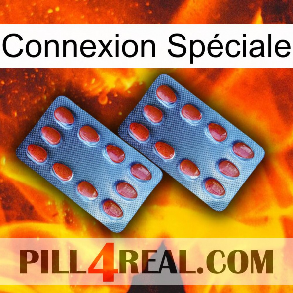Connexion Spéciale 05